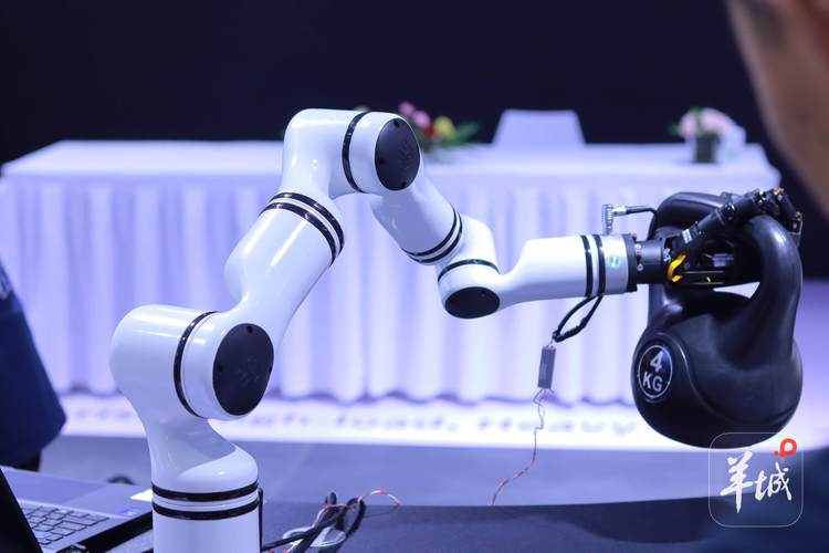 發布123款新產品，融資14.81億元 2025世界機器人大會展現行業強勁動能